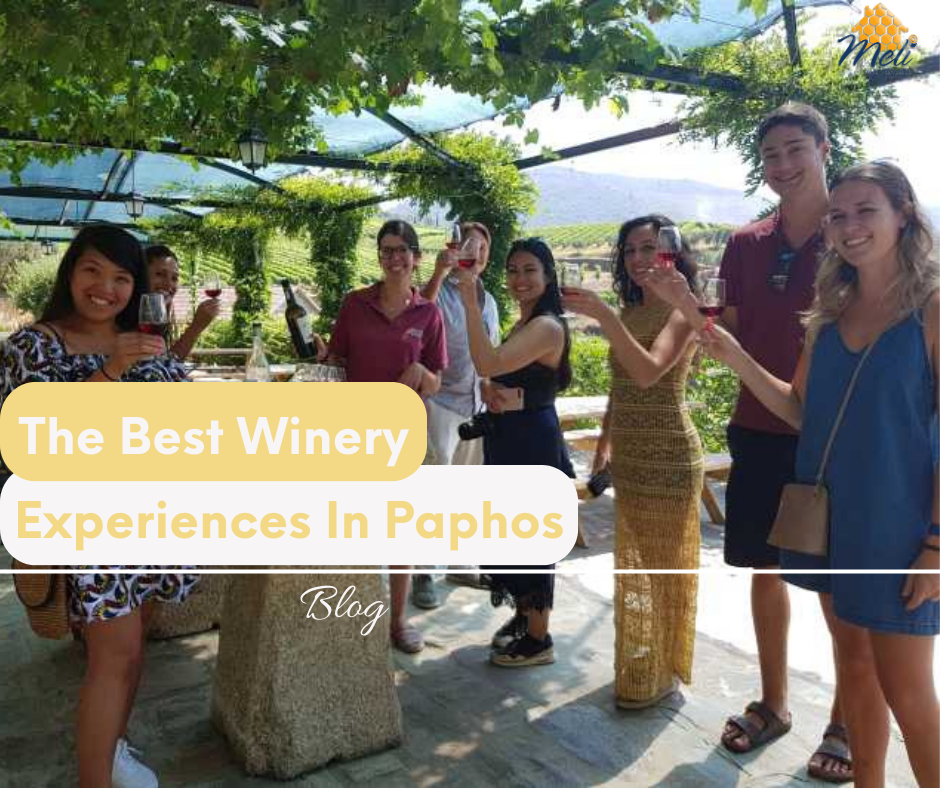 Unveiling the Enchanting World of Paphos Wineries: A Journey of Sip and Splendor