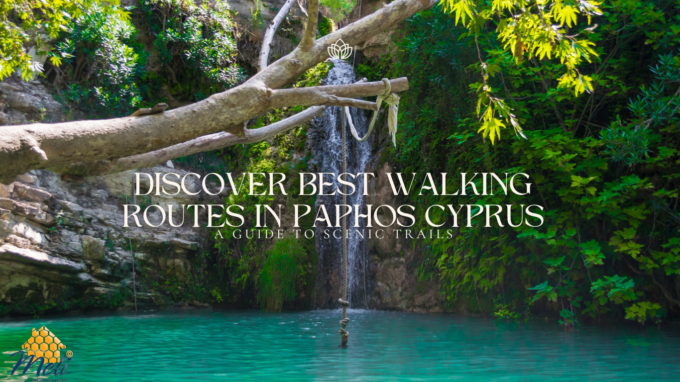 Discover The Best Walking Route in Paphos: A Guide to Scenic Trails