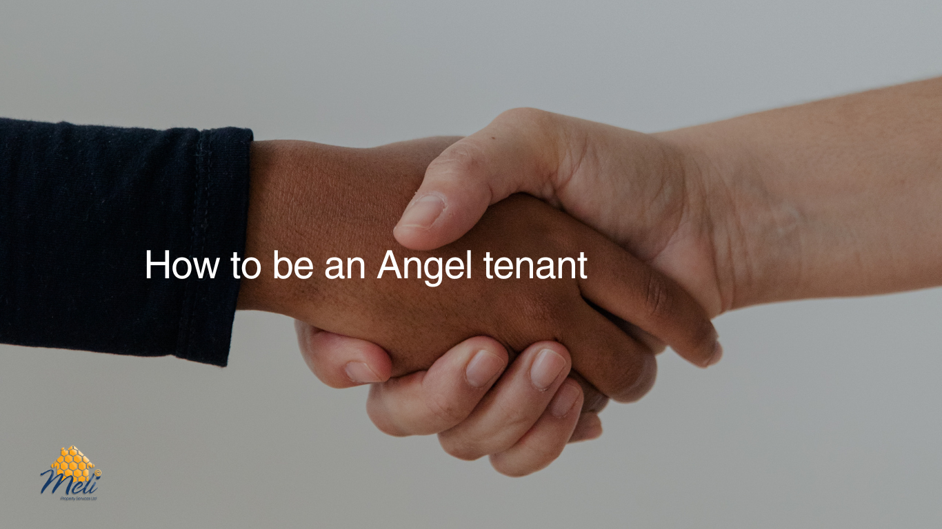 How to Be an Angel Tenant: A Guide to Winning Over Your Landlord and Enjoying Stress-Free Renting in Paphos, Cyprus