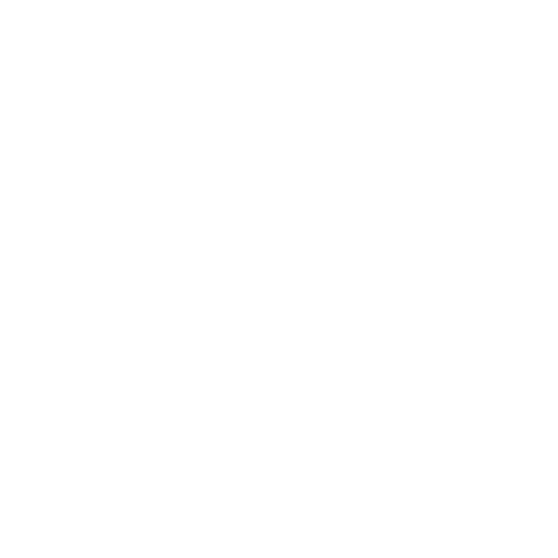 Expert Service
